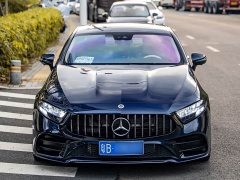 Mercedes-Benz CLS 300 Luxury - ფოტო 2