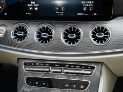 Mercedes-Benz CLS 300 Luxury - ფოტო 8
