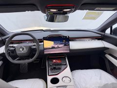 Lotus EMEYA 2025 600 Touring - ფოტო 15