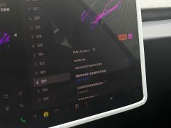 Tesla Model 3 Rear-Wheel Drive - ფოტო 10