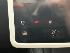 Tesla Model 3 Rear-Wheel Drive - ფოტო 11