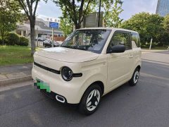 Geely Panda Mini 210km Vitality Edition - ფოტო 1