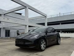 Tesla Model Y 2022 Rear-Wheel Drive - ფოტო 1