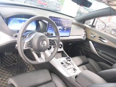Denza X 2020 PHEV Premier Edition - ფოტო 12