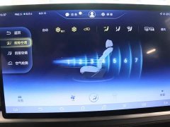 Denza X 2020 PHEV Premier Edition - ფოტო 9