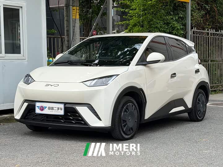 BYD Seagull Glory Edition 305km Vitality Version