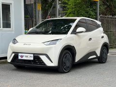 BYD Seagull Glory Edition 305km Vitality Version - ფოტო 1