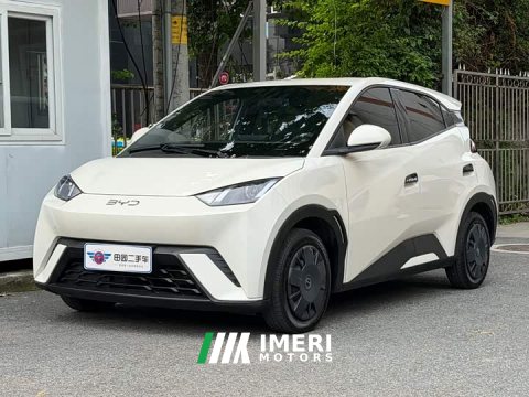 2024 BYD Seagull Glory Edition 305km Vitality Version - ავტომობილი ჩინეთიდან