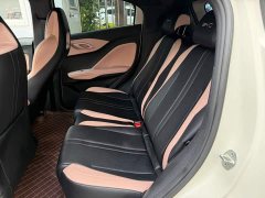 BYD Seagull Glory Edition 305km Vitality Version - ფოტო 11