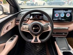 BYD Seagull Glory Edition 305km Vitality Version - ფოტო 13