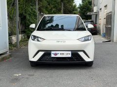 BYD Seagull Glory Edition 305km Vitality Version - ფოტო 2