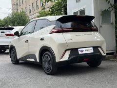 BYD Seagull Glory Edition 305km Vitality Version - ფოტო 4