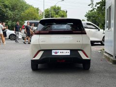 BYD Seagull Glory Edition 305km Vitality Version - ფოტო 5