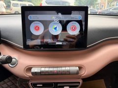BYD Seagull Glory Edition 305km Vitality Version - ფოტო 9