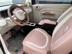 FAW Besturn Xiaoma 222km Cute Horse - ფოტო 7