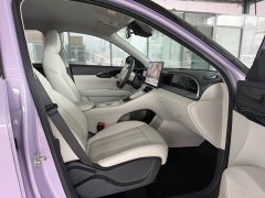 Geely Xing Yuan UP 410km Explorer Edition - ფოტო 10