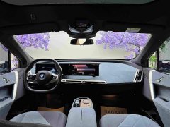 BMW iX xDrive40 - ფოტო 13