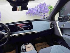 BMW iX xDrive40 - ფოტო 15