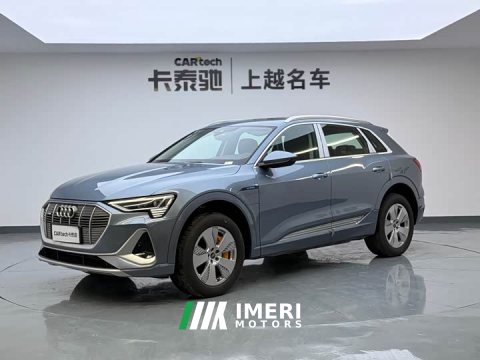 2021 Audi e-tron 50 quattro Luxury - ავტომობილი ჩინეთიდან