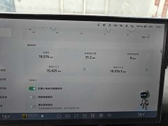 Xpeng P7 2024 Long Range Max - ფოტო 4