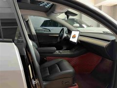 Tesla Model Y Rear-Wheel Drive - ფოტო 5