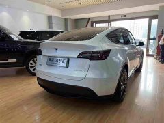 Tesla Model Y Rear-Wheel Drive - ფოტო 8