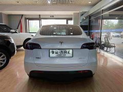 Tesla Model Y Rear-Wheel Drive - ფოტო 9