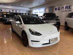Tesla Model 3 Facelift Standard Range RWD Upgrade 3D1 - ფოტო 1