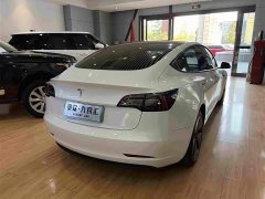 Tesla Model 3 Facelift Standard Range RWD Upgrade 3D1 - ფოტო 9