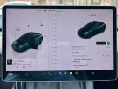 Tesla Model Y Performance All-Wheel Drive - ფოტო 16