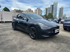 Tesla Model Y Rear-Wheel Drive - ფოტო 2