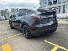 Tesla Model Y Rear-Wheel Drive - ფოტო 8