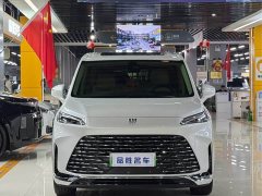 Buick GL8 New Energy Lusang Respect Edition - photo 2
