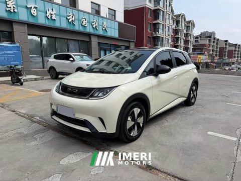 2024 BYD Dolphin 2023 420km Fashion Edition - ავტომობილი ჩინეთიდან