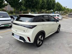 BYD Dolphin 2023 420km Fashion Edition - ფოტო 9