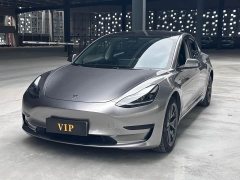 Tesla Model 3 Standard Range RWD Upgrade - ფოტო 1