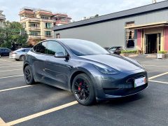 Tesla Model Y Rear-Wheel Drive - ფოტო 3