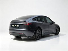 Tesla Model 3 Rear-Wheel Drive - ფოტო 6