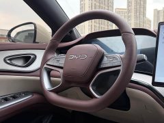 BYD Dolphin 07 DM-i 2026 DM-i 1.5T 230km Flagship - ფოტო 13