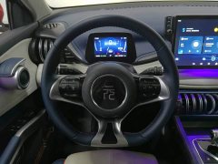 BYD Yuan Plus 2022 510KM Flagship - ფოტო 11