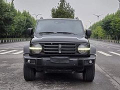 Tank 300 Off-Road Edition 2.0T Challenger - ფოტო 2