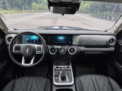 Tank 300 Off-Road Edition 2.0T Challenger - ფოტო 5