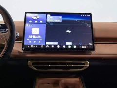 Neta X 2025 500 Plus - ფოტო 12