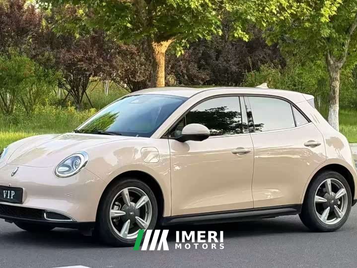 ORA Good Cat 400km Standard Range Athena Edition Ternary Lithium - ავტომობილი ჩინეთიდან