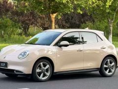 ORA Good Cat 400km Standard Range Athena Edition Ternary Lithium - ფოტო 1
