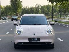 ORA Good Cat 400km Standard Range Athena Edition Ternary Lithium - ფოტო 2