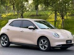 ORA Good Cat 400km Standard Range Athena Edition Ternary Lithium - ფოტო 3