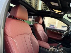 BMW 5 Series Facelift 530Li Luxury M Sport Package - ფოტო 15