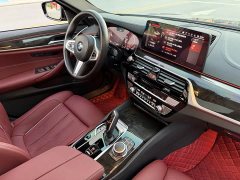 BMW 5 Series Facelift 530Li Luxury M Sport Package - ფოტო 16
