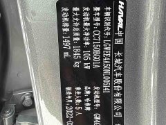 Haval Chitu Jingxiang Edition 1.5T Purple Copper Rabbit - фото 15